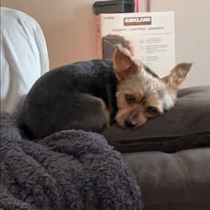 Meet your Posher, Christina